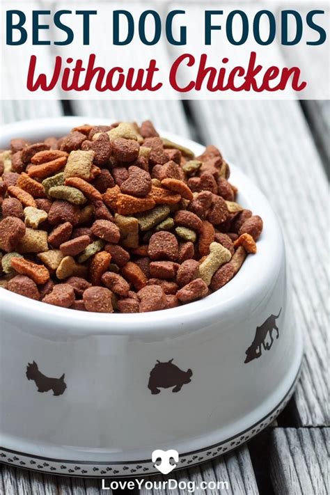 Dog food without chicken - Chicken-Free Dry Dog Food - Free shipping | Chewy. Dog. Food. Dry Food. Chicken-Free Dry Dog Food. Sponsored. ACANA Red Meat Recipe Grain-Free …